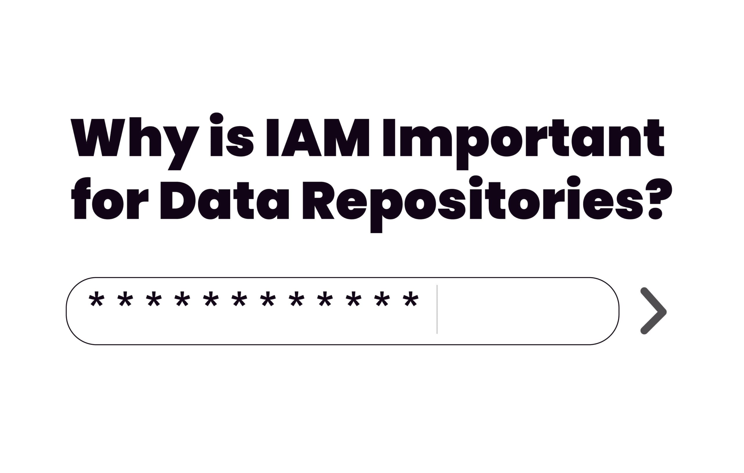 Why is Identity and Access Management (IAM) Important for Data Repositories?